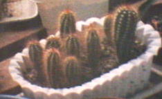 �T�{�e�����j���L�j���L