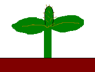 �j���L�j���L