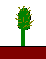 �ӂ��΂��Ȃ��Ȃ����B