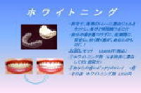 見本